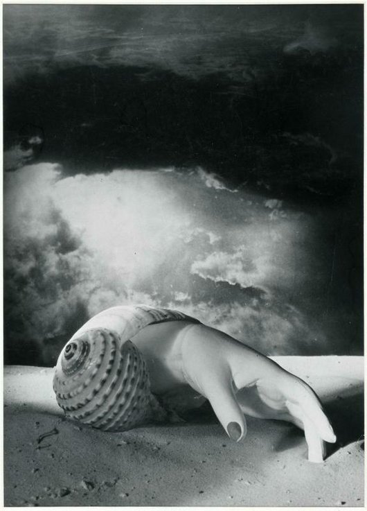 Dora Maar (Henriette Théodora Markovitch, dite), Sans titre [Main-coquillage] 1934 